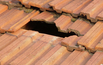 roof repair Carmyllie, Angus